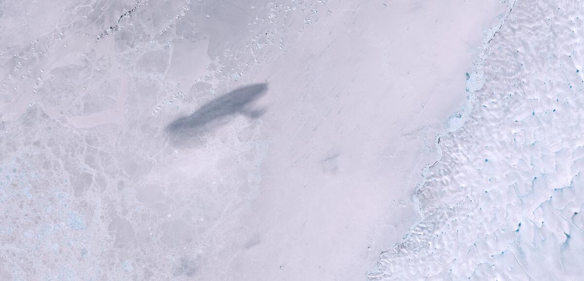 Aerial view of Humboldt Glacier